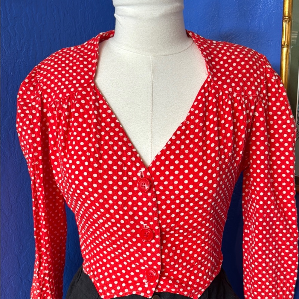 Vintage cropped polka dot blouse